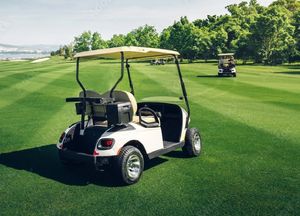 golf buggy